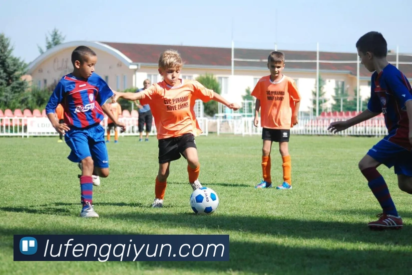 多媒体互动体验