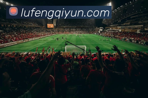 xc体育APP 体育赛事宣传图